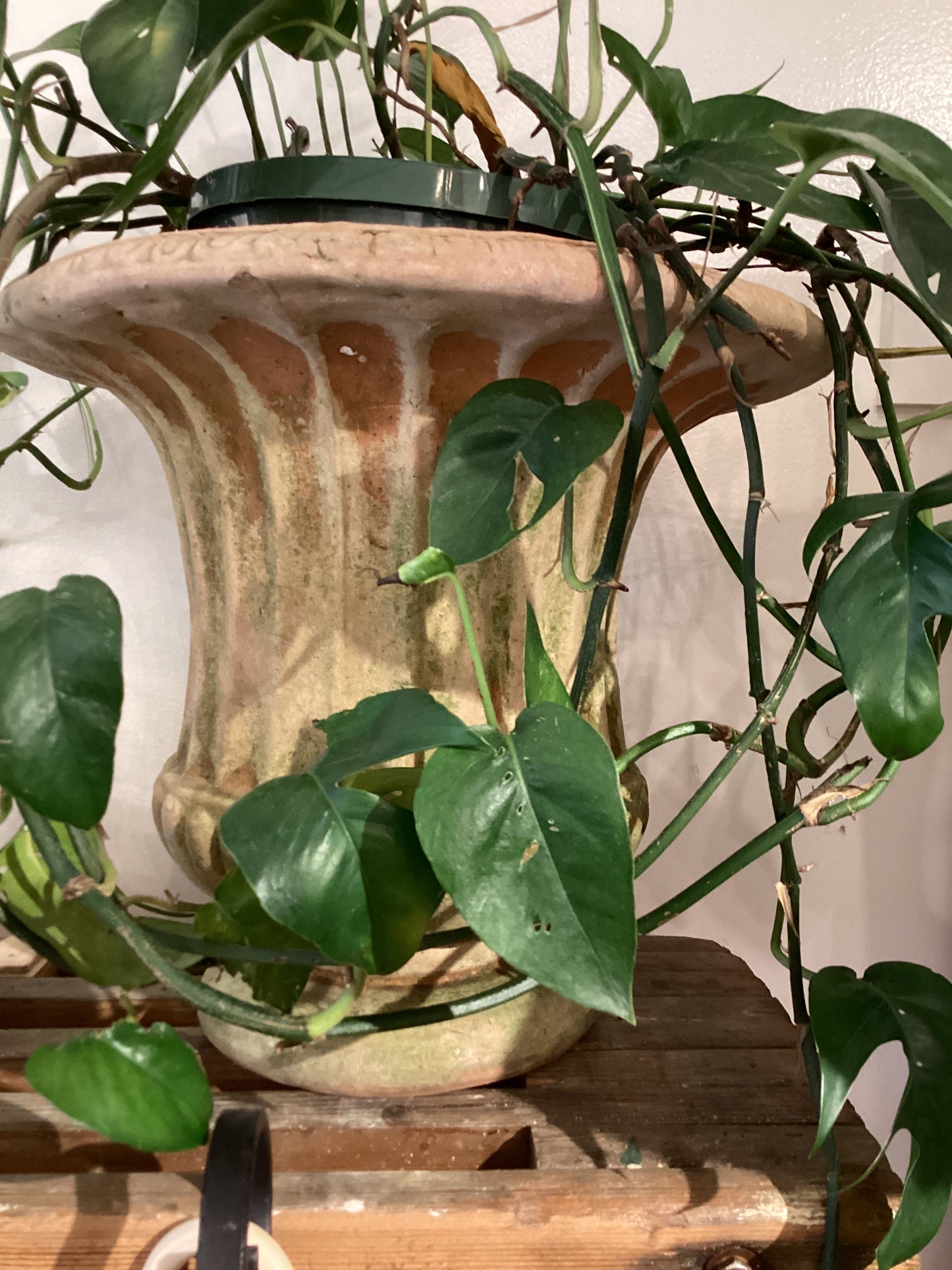 Mykonos TC Planter