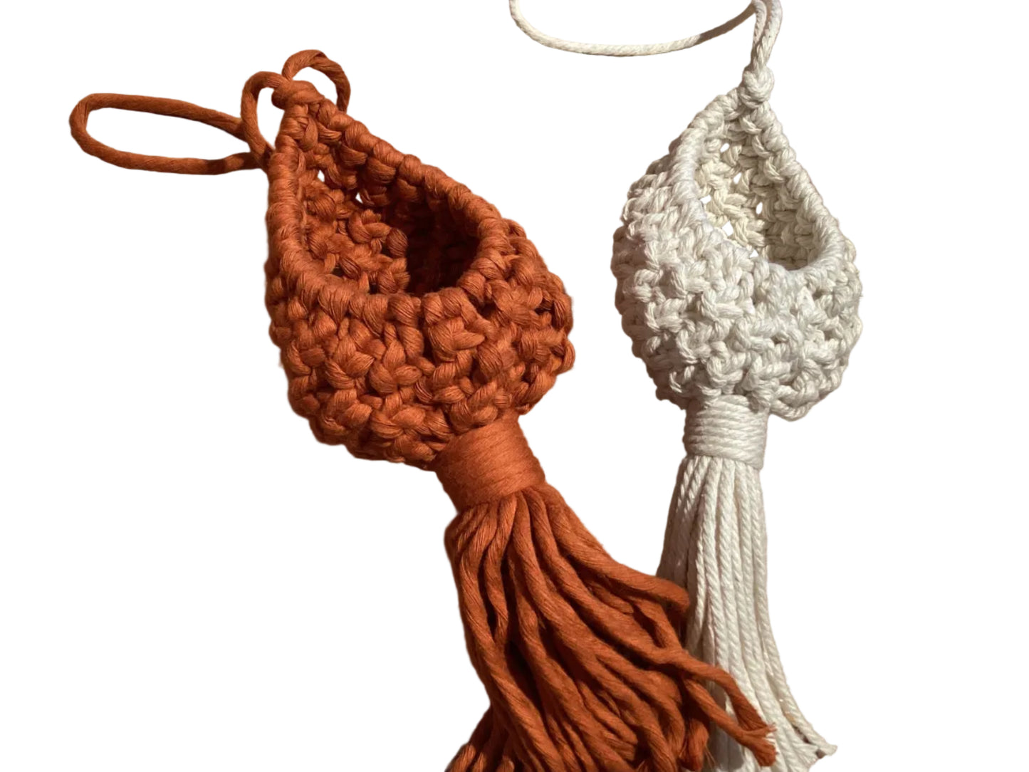 Small Air Plant Holder