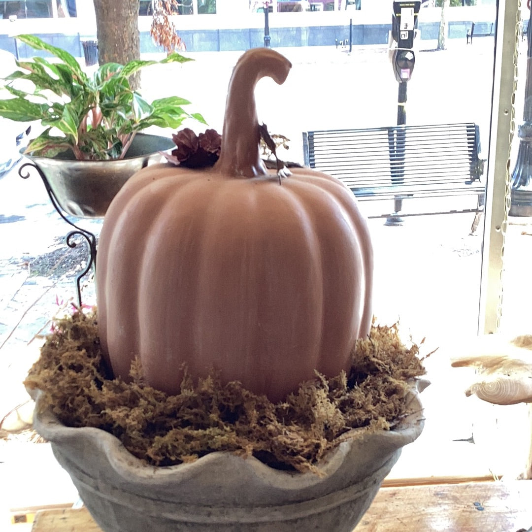 Orange Pumpkins