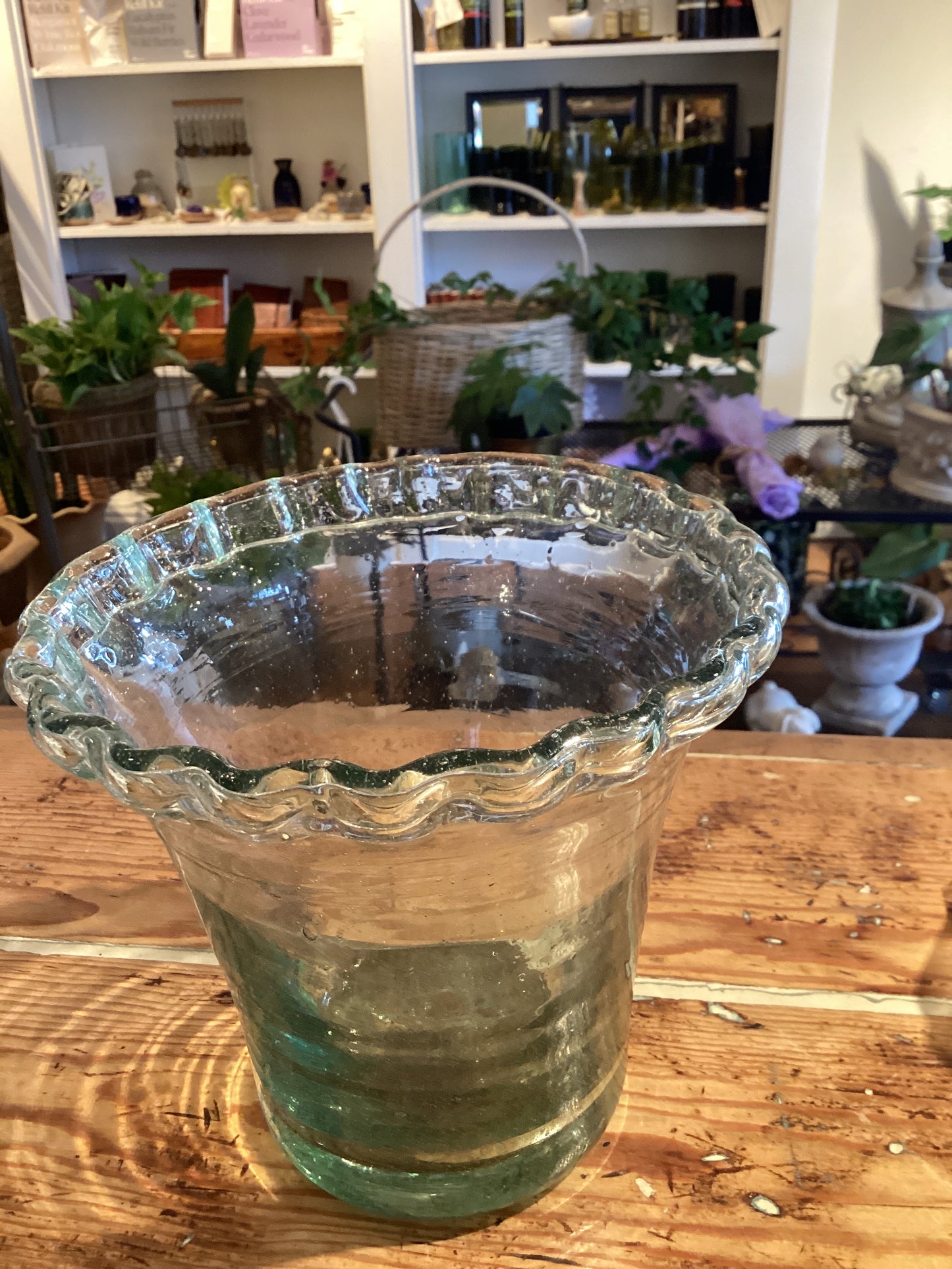 Glass Pie Crust Planter
