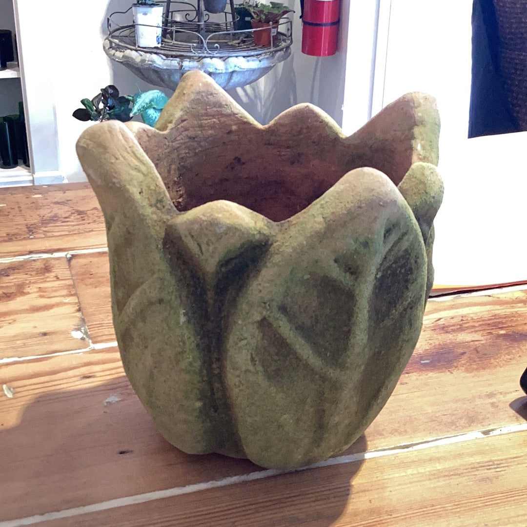 Clematis Planter