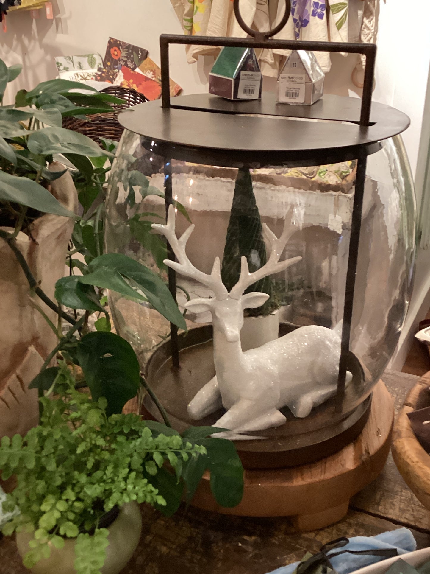 Iron & Glass Lantern