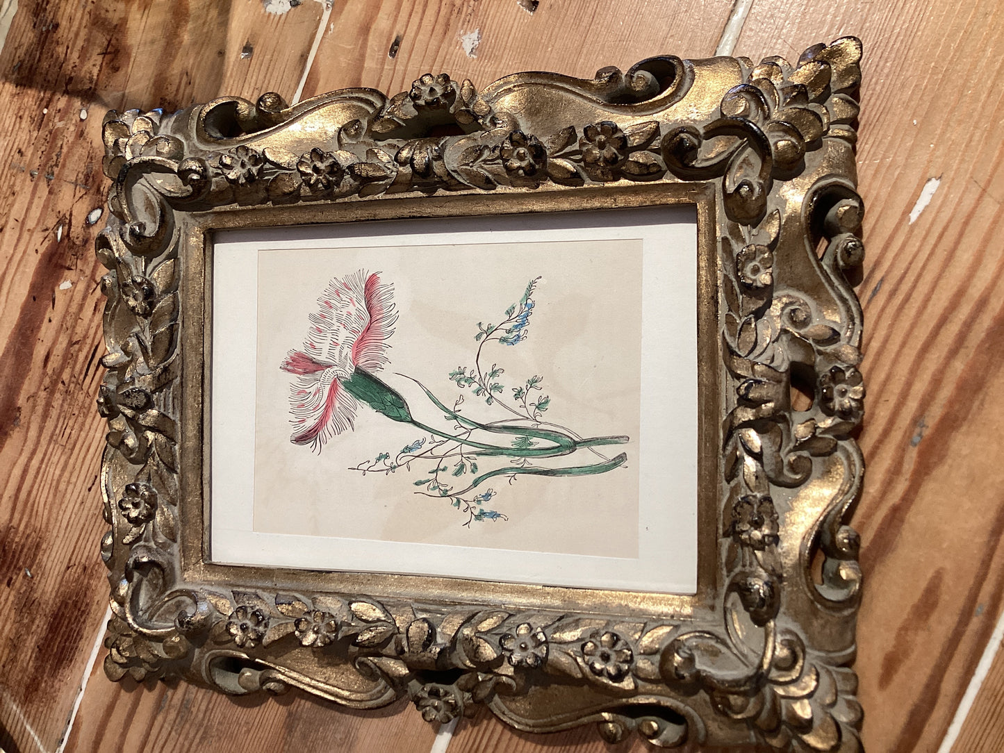 Floral Print in Ornate Frame