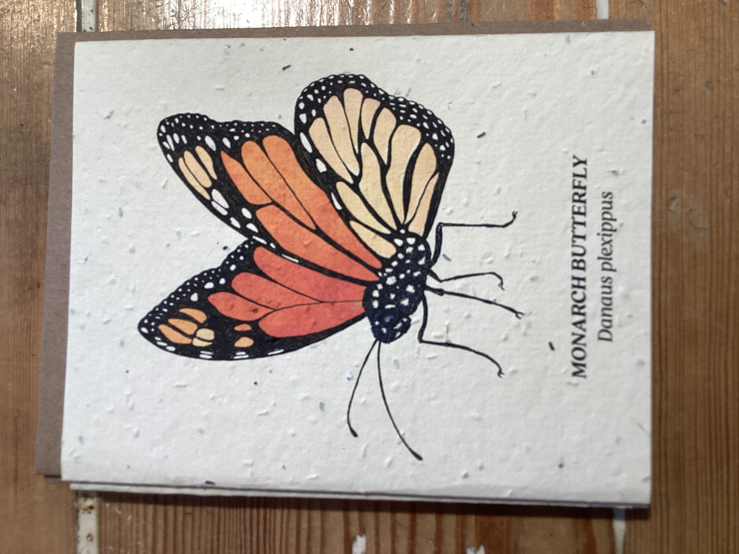 Monarch Card