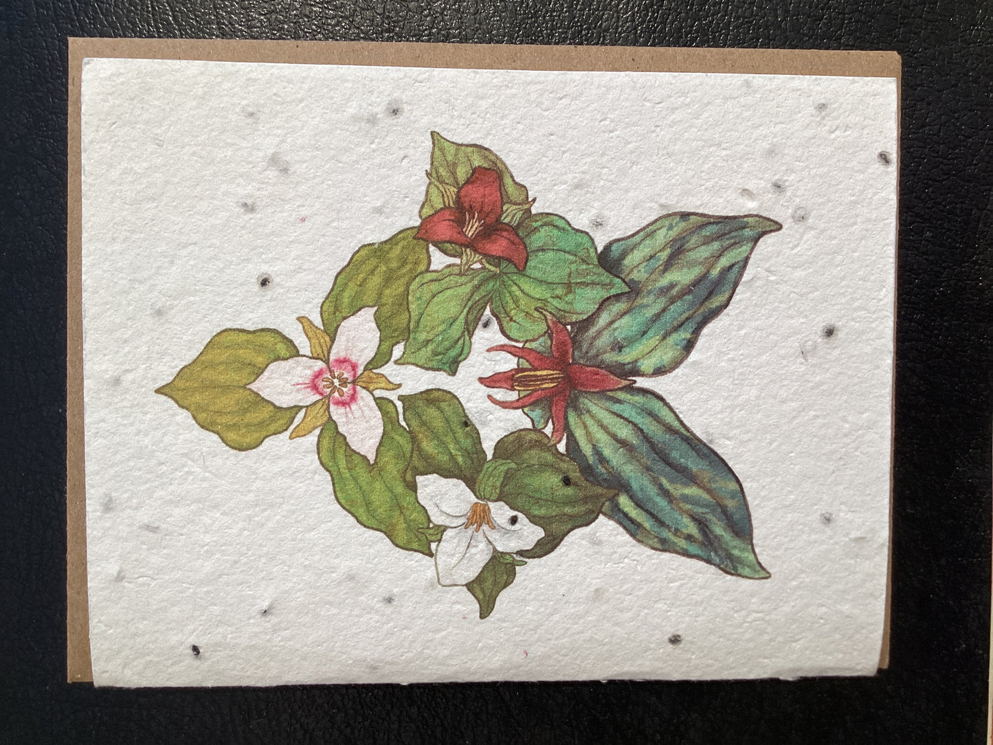 Trillium Card