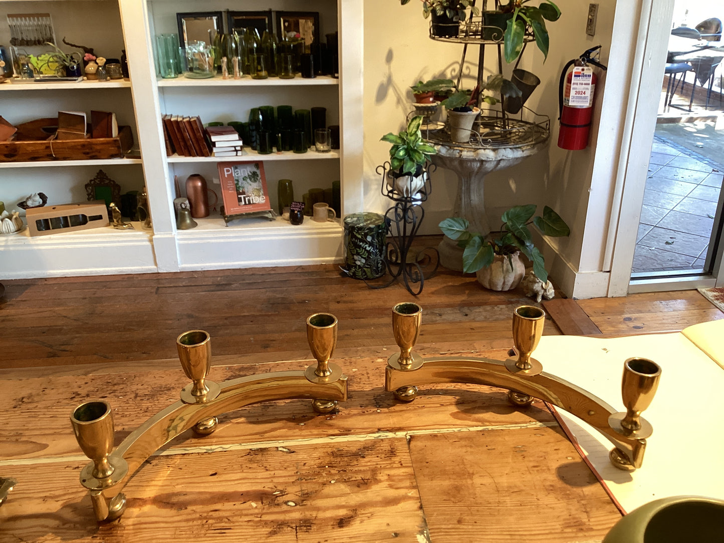 Brass Curved Candlesticks - Pair