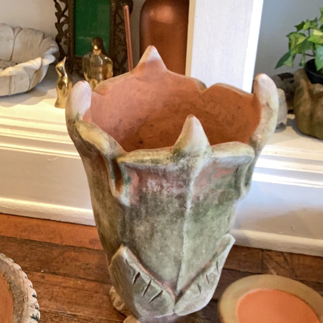 Campanula Terra Cotta Planter