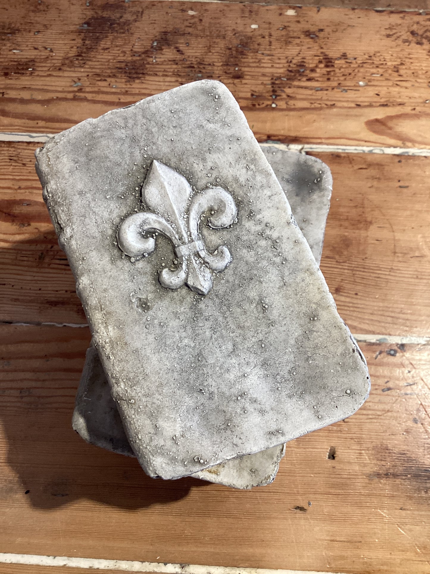 Book - Fleur De Lis