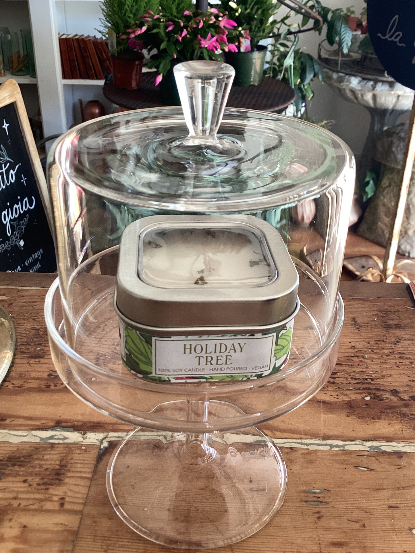 Glass Dome & Pedestal