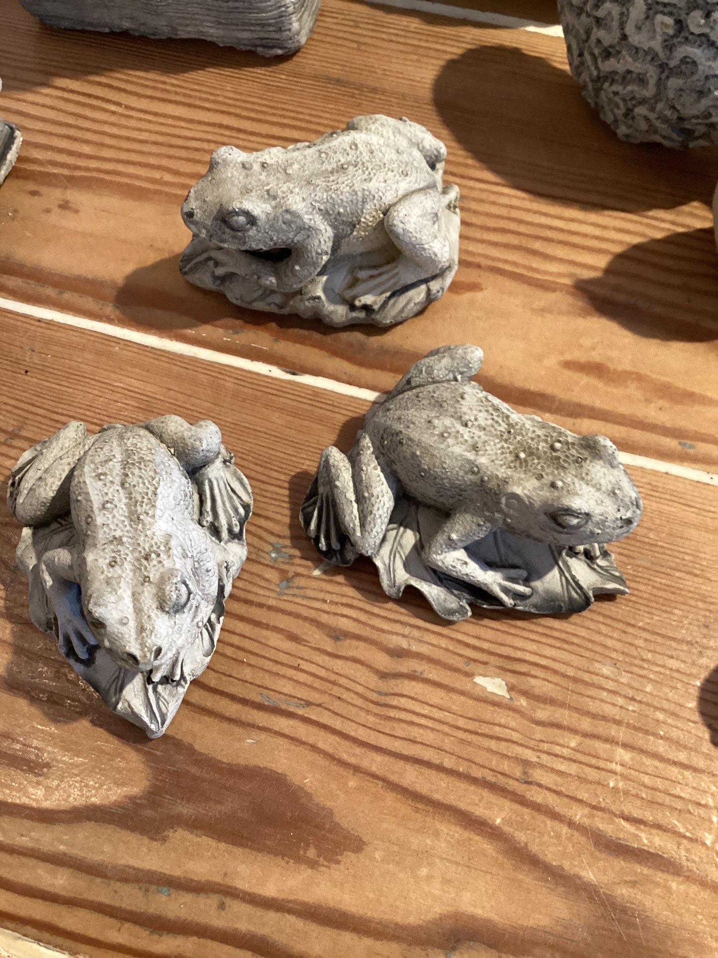 Charles Frog