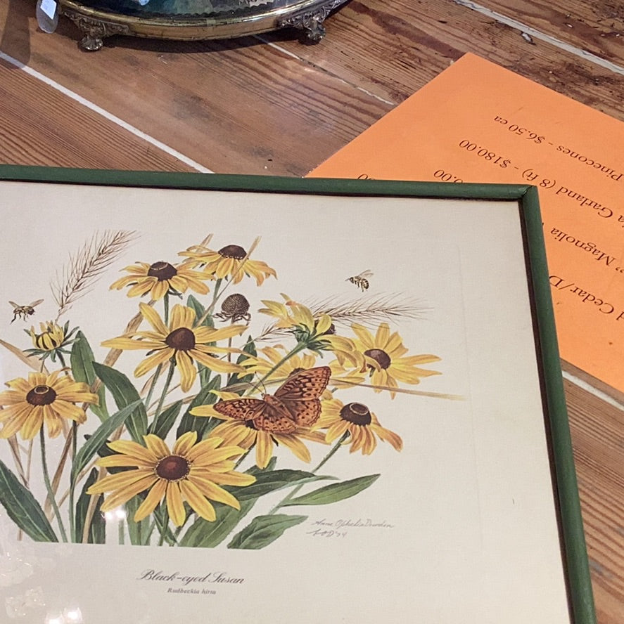 Black Eyed Susan Print in Green Frame
