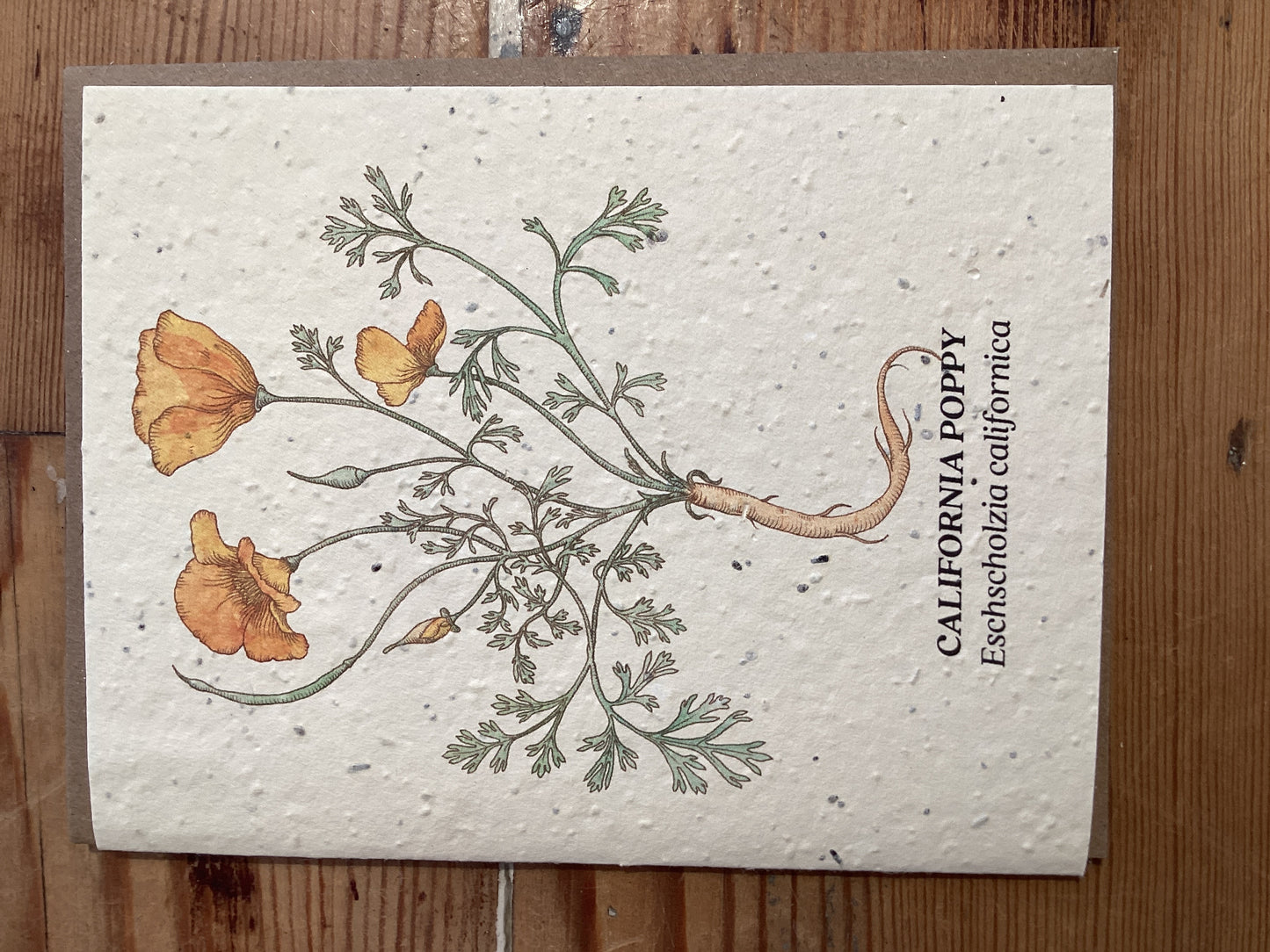Poppy Card