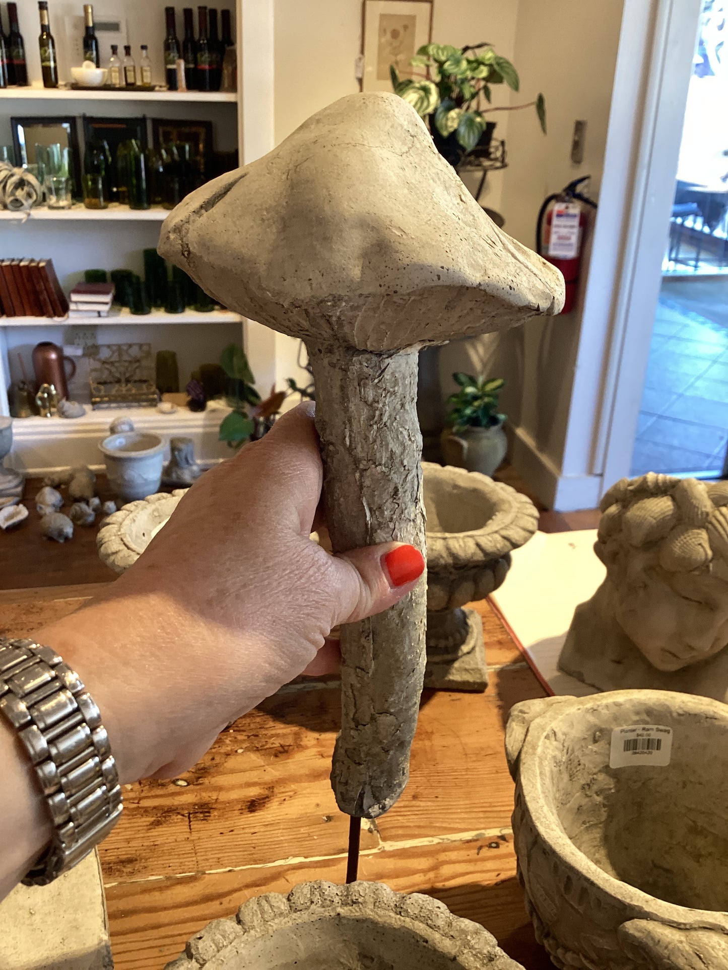 Mushroom - Davidson