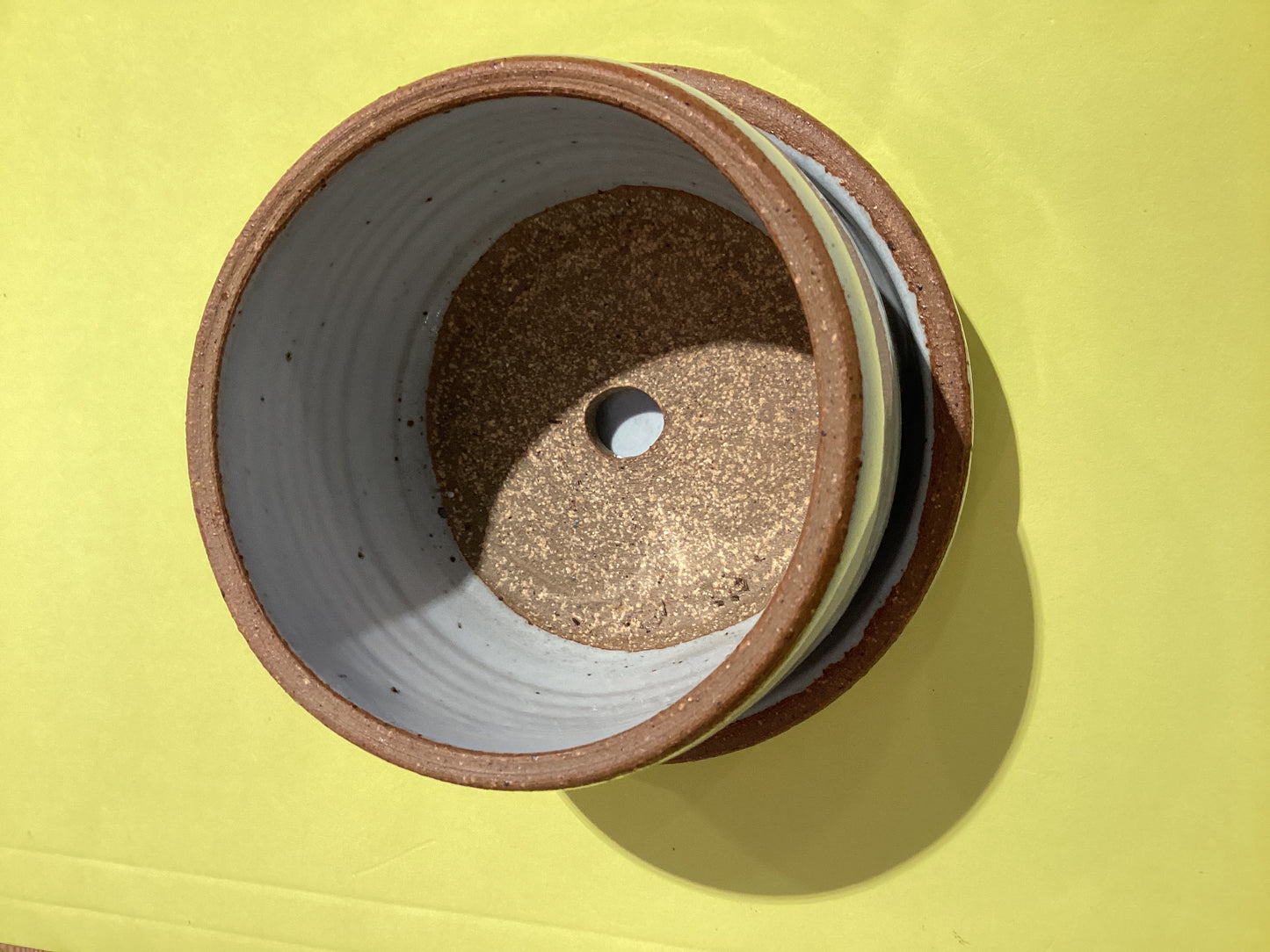 3” White Pot w/Tray
