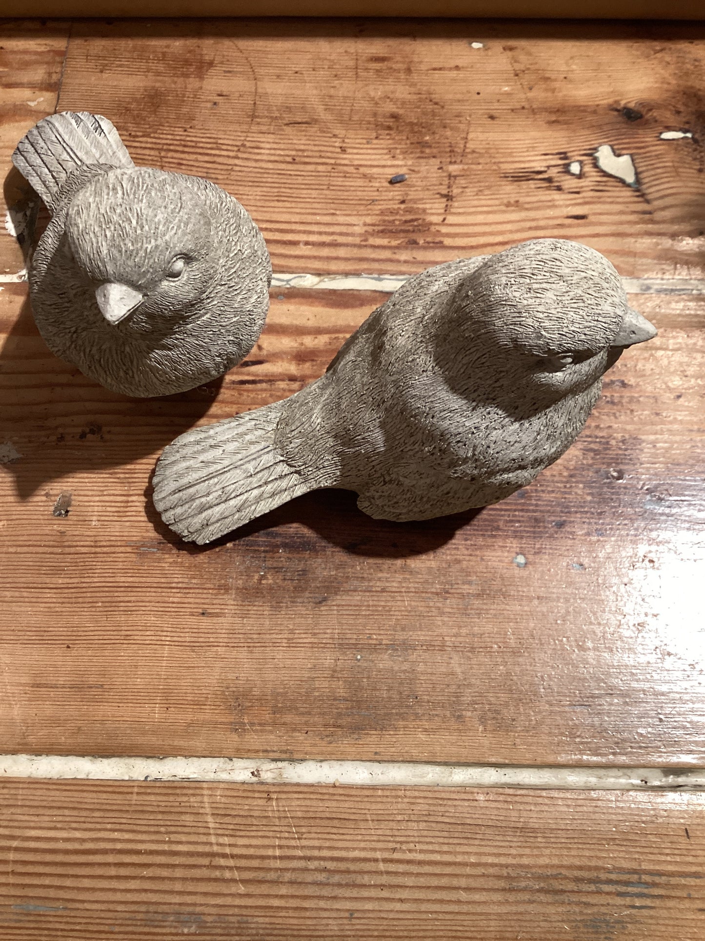 Concrete Finch