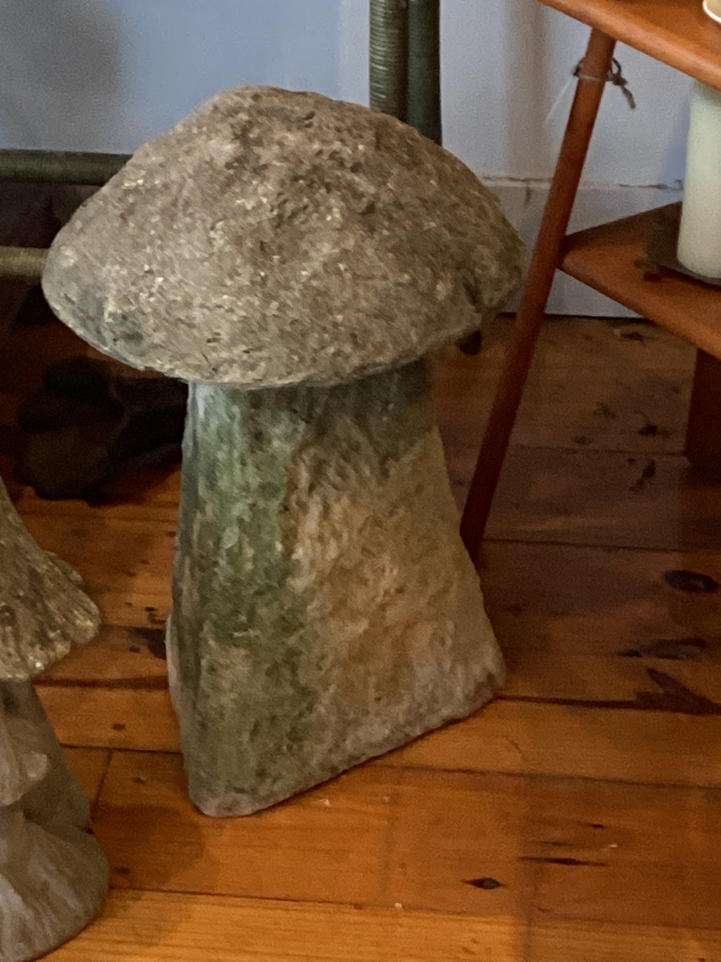 Mushroom