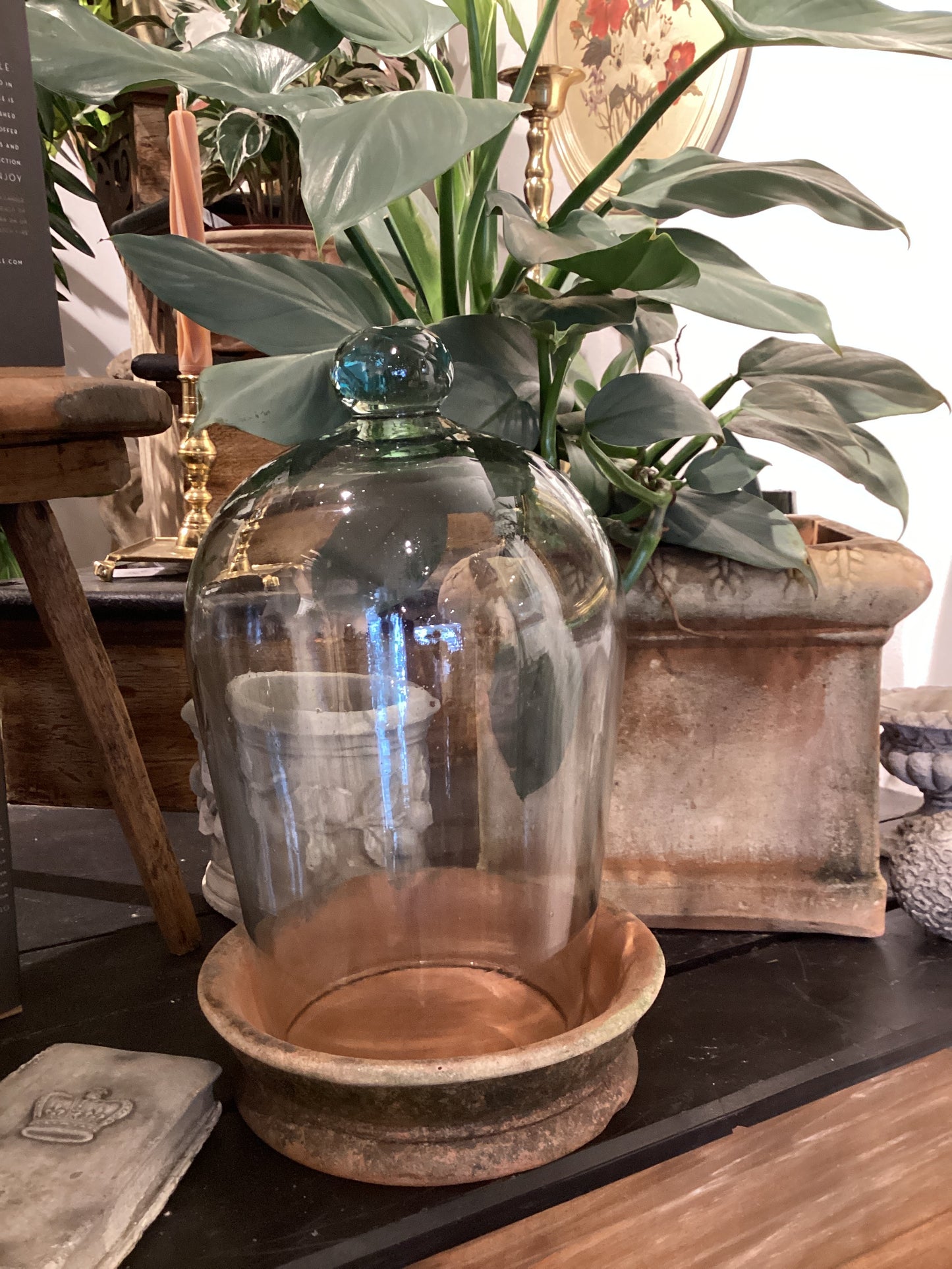 Terrarium