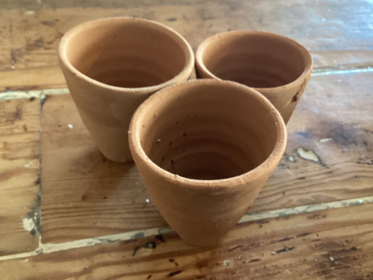 Starter Terra Cotta Pots