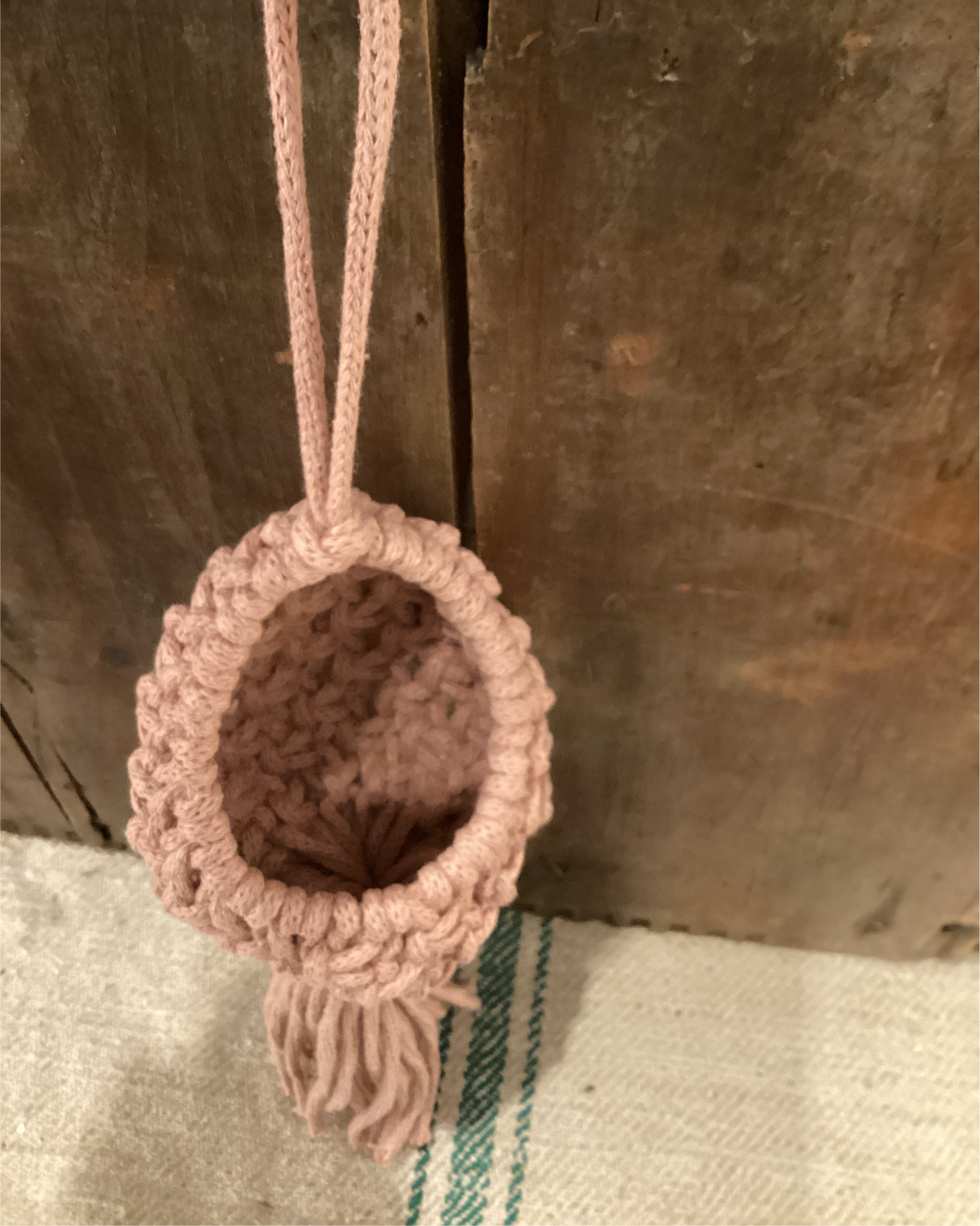 Med. Air Plant Holder - Blush
