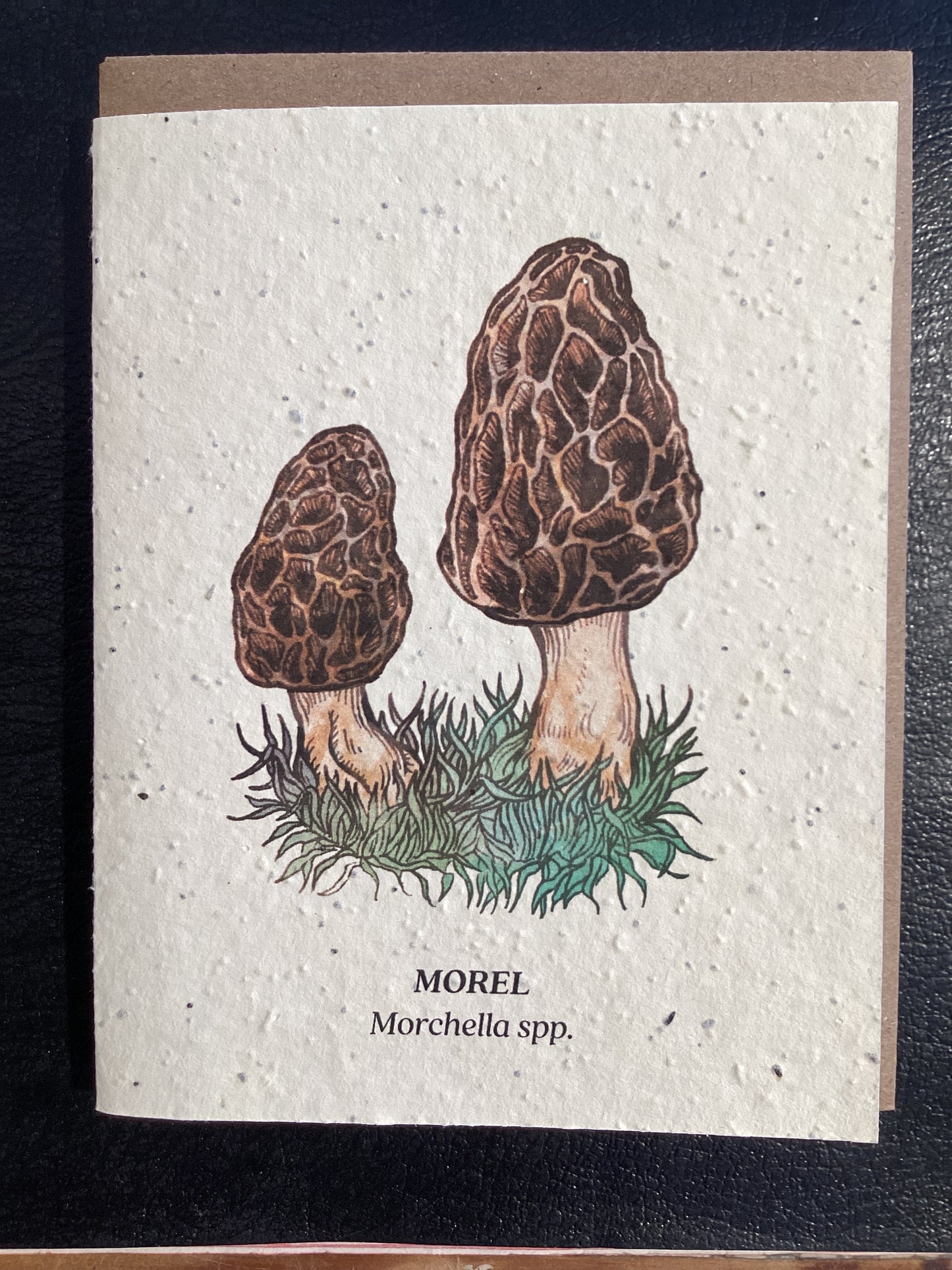 Morel Mushroom Card