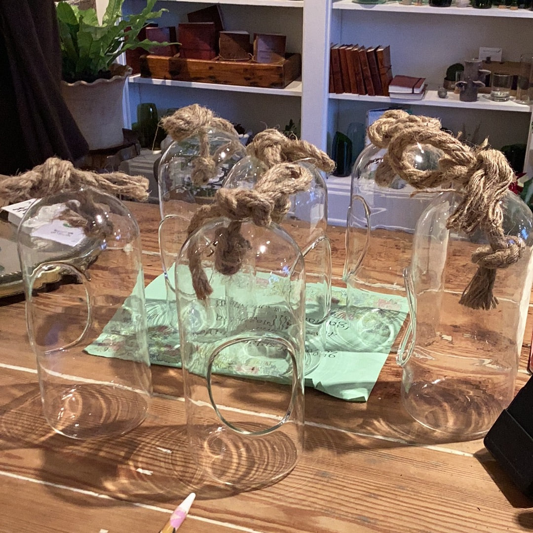 Glass Hanging Terrarium