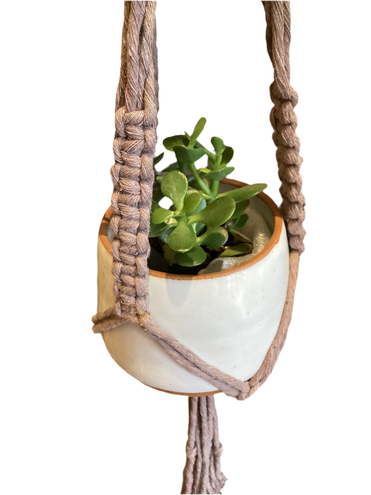 4” Tall White Pot - No Tray