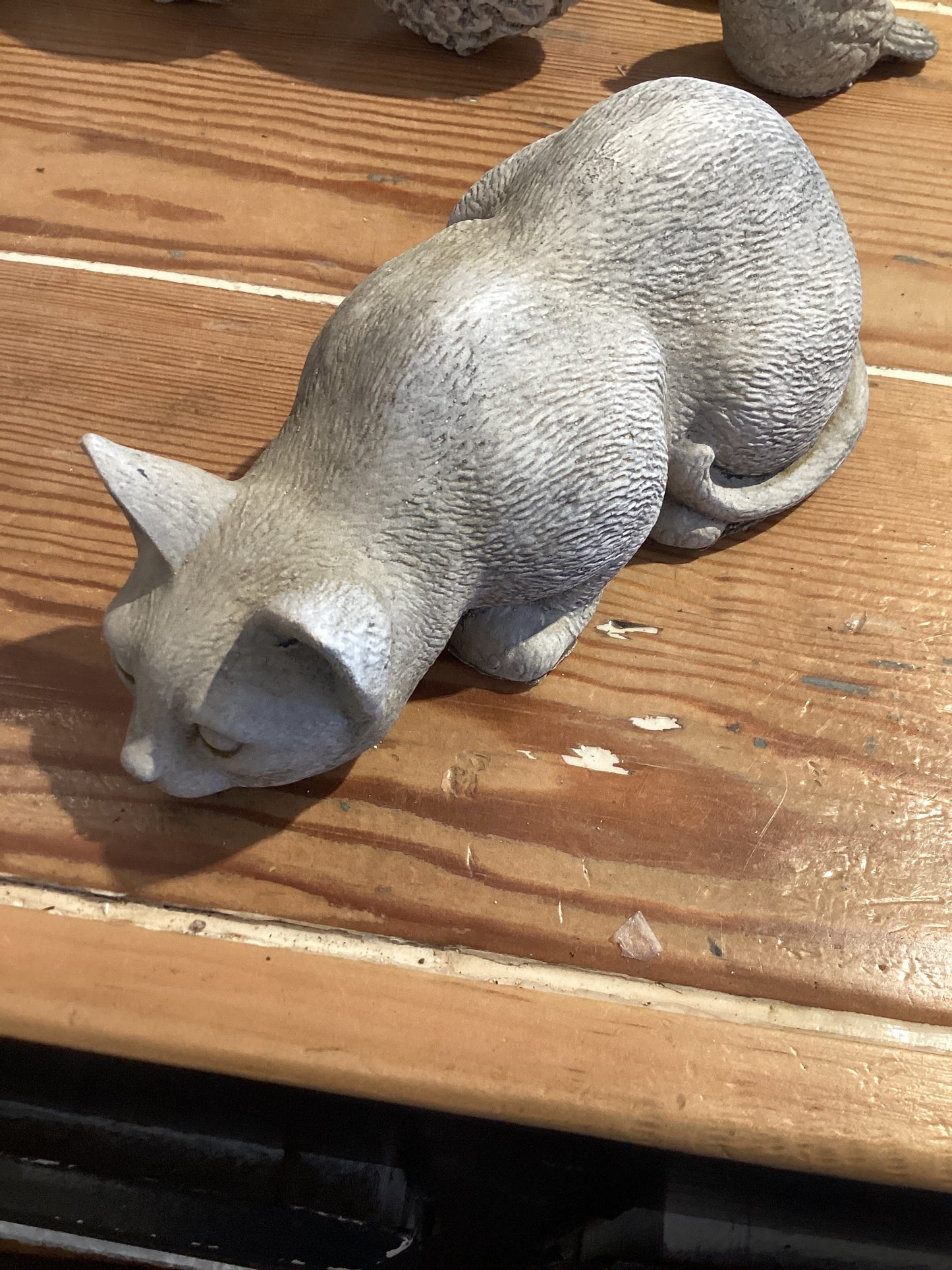 Crouching Cat