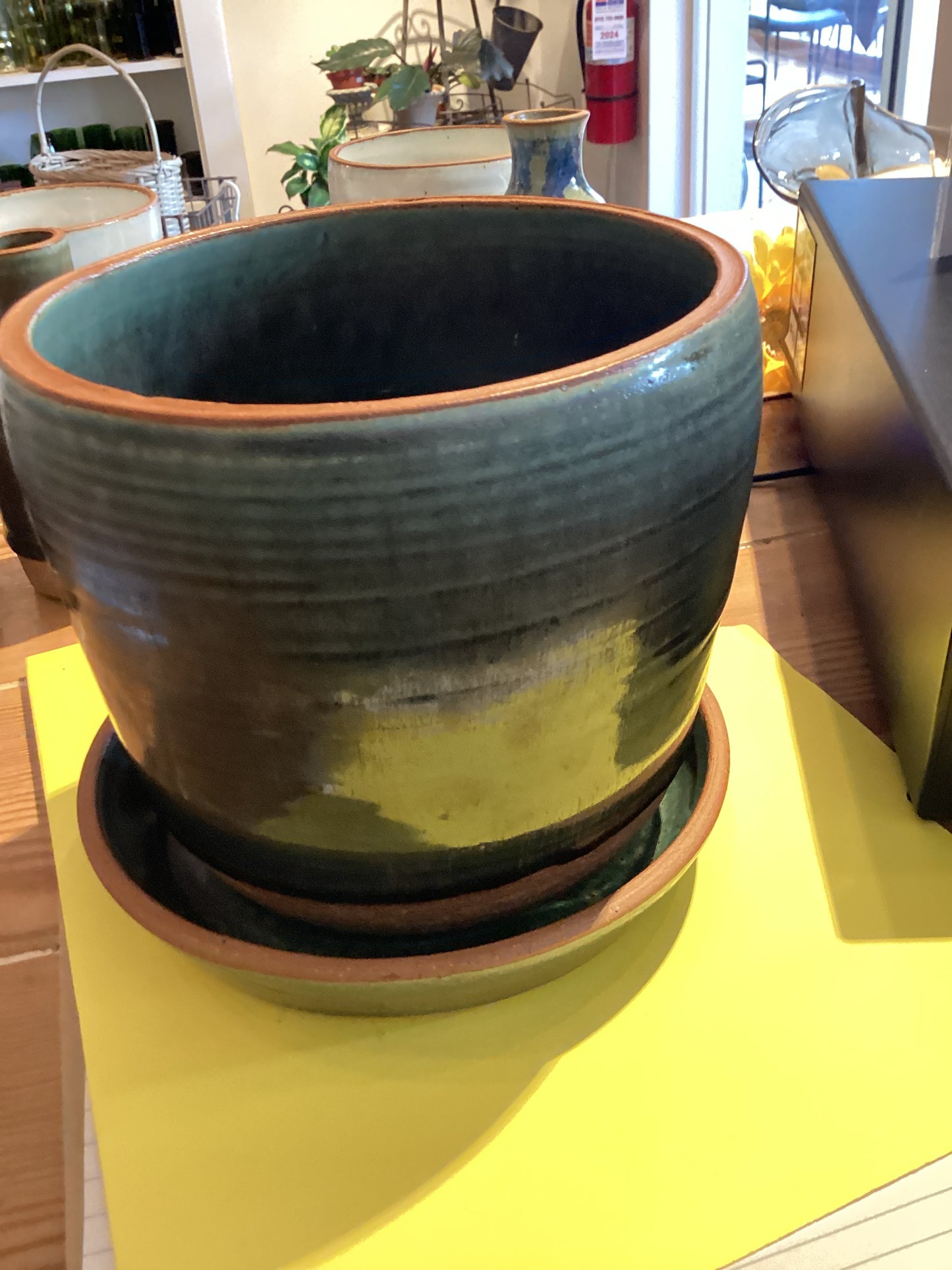 6” Green Pot w/Tray