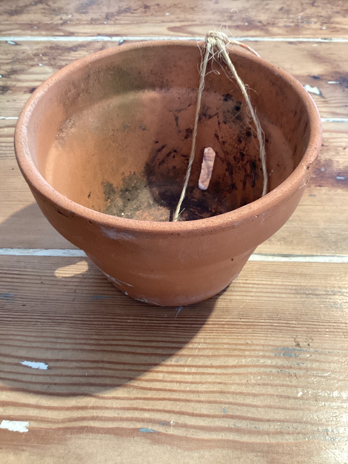5” Orchid Pot