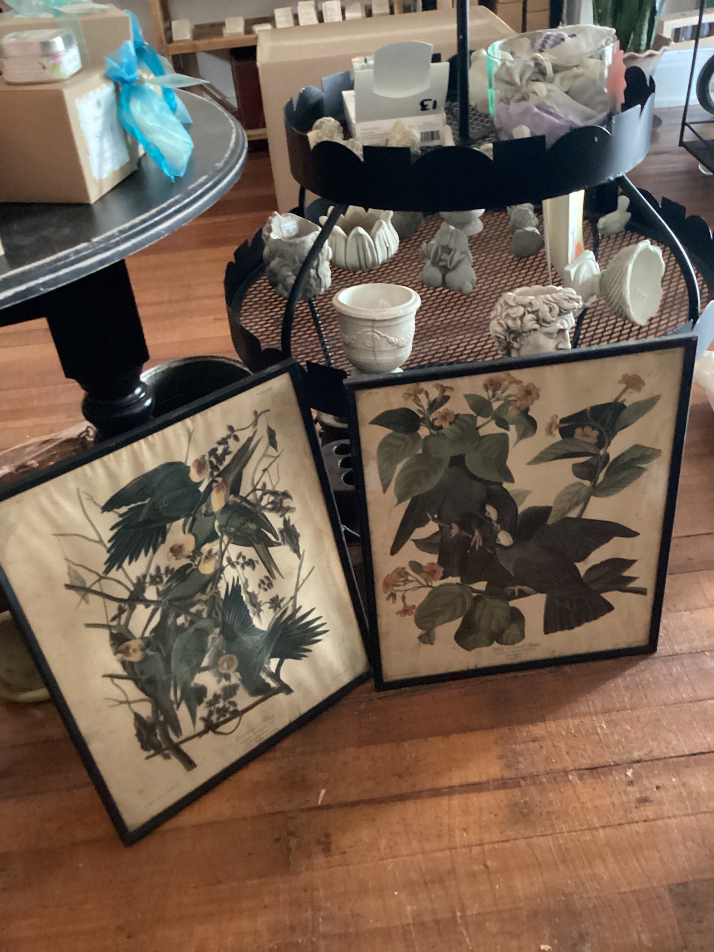 Audubon Print