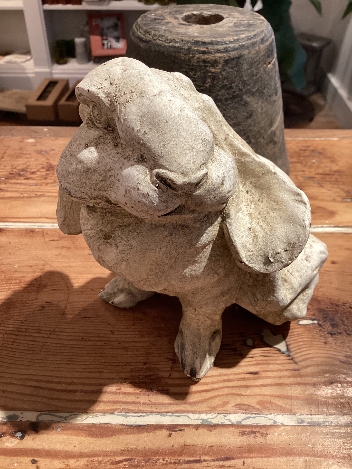 Floppy Eared Bunny