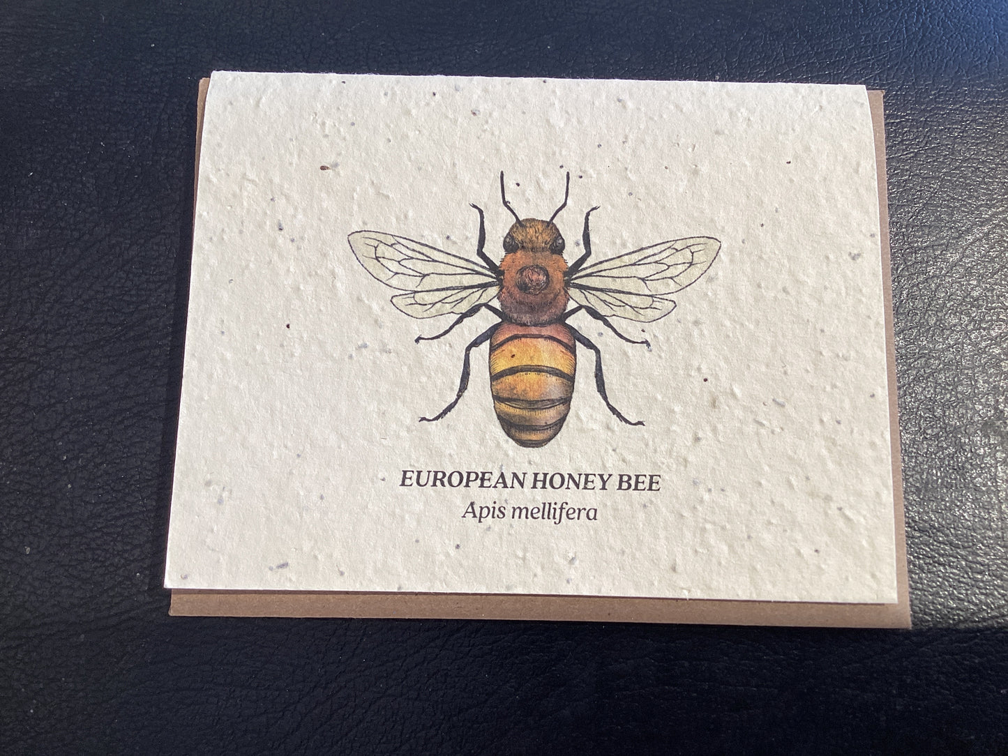 Honey Bee Card