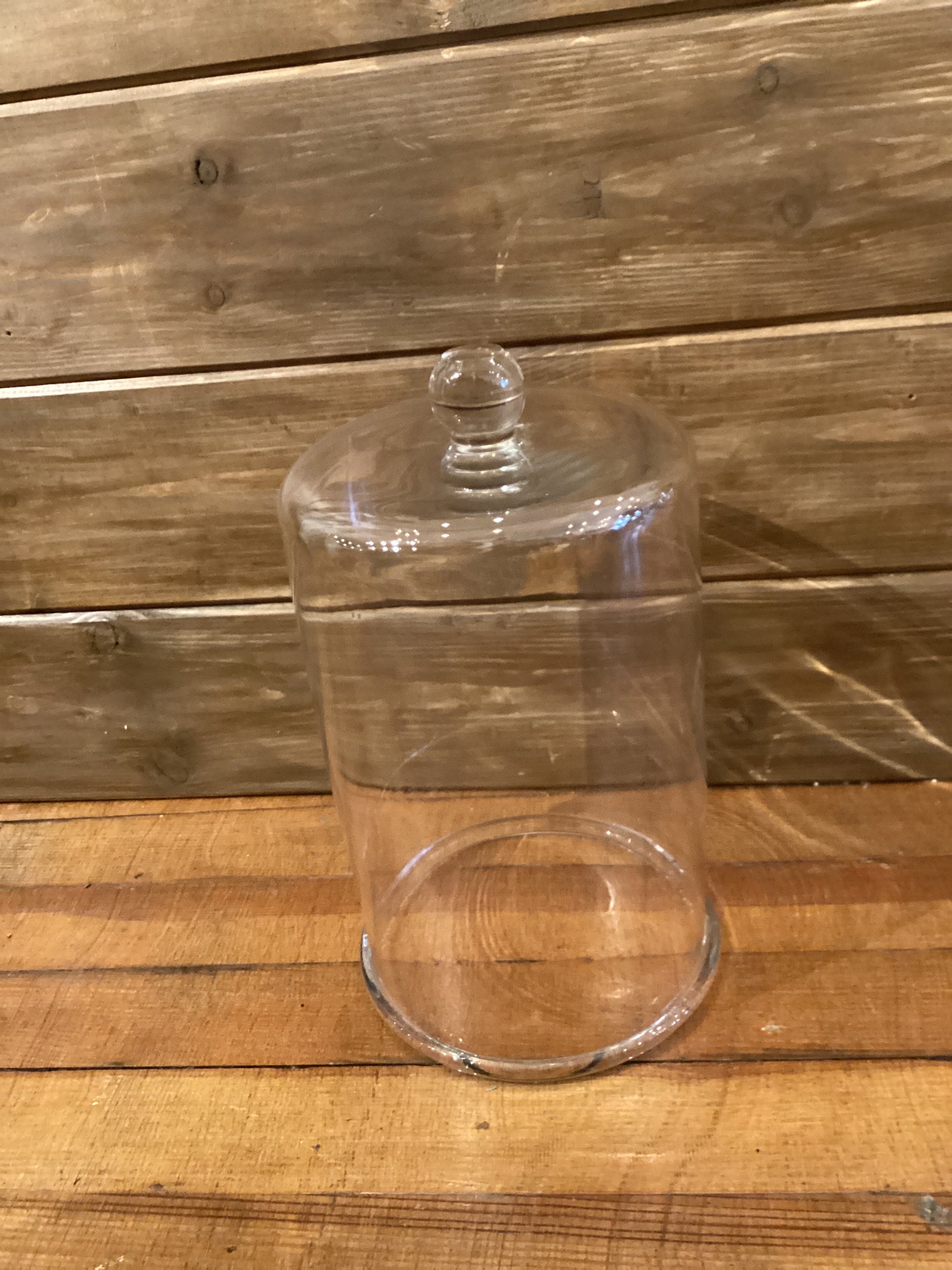 Cloche - Found Clear Glass