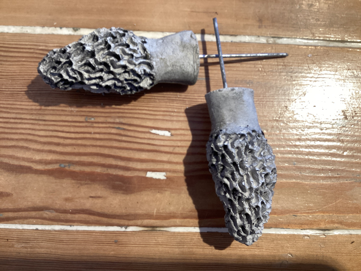Michigan Morel