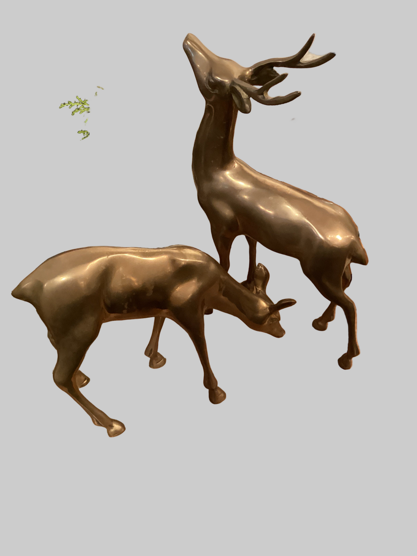 Brass Deer - Pair
