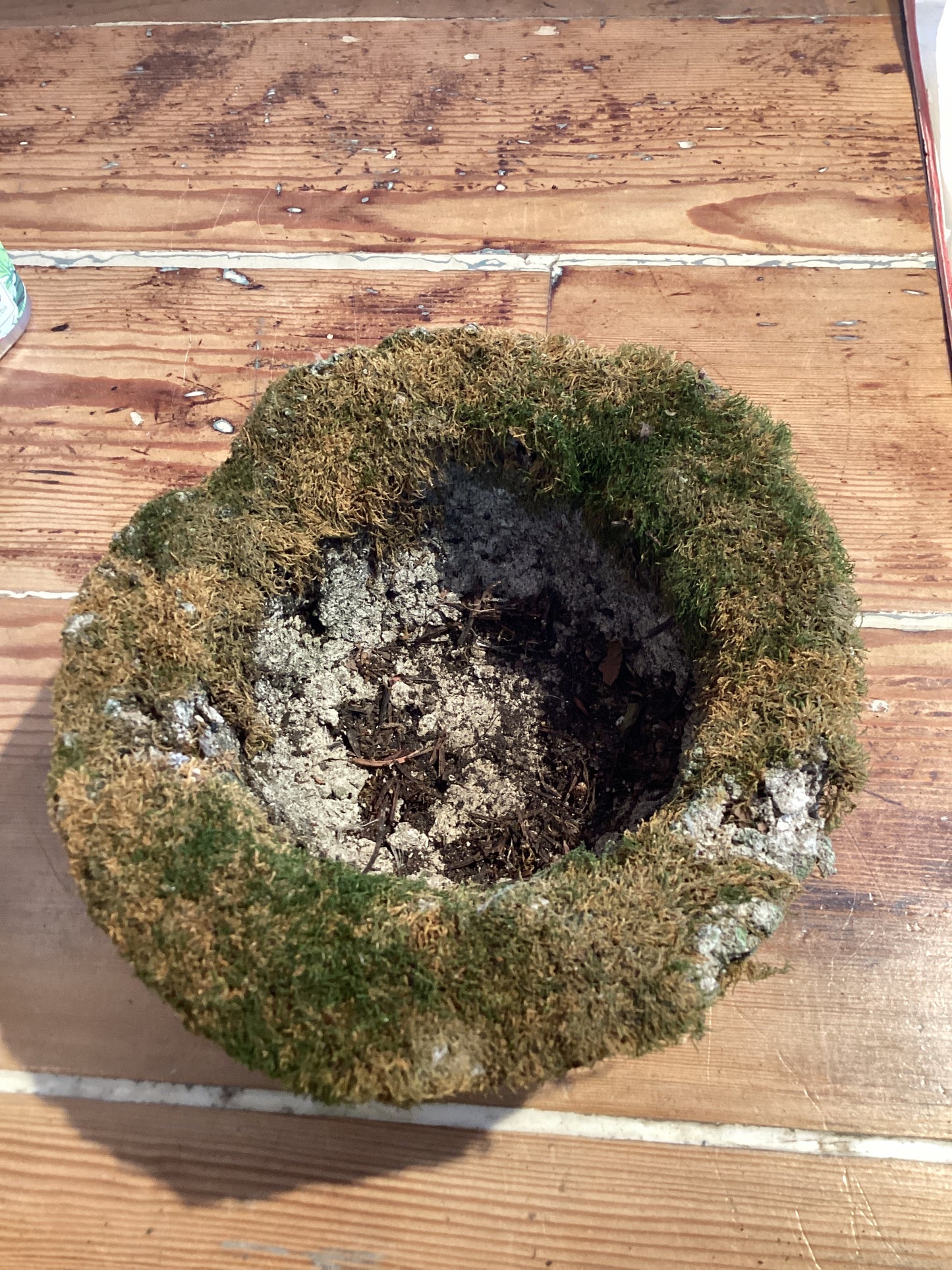 Small Hypertufa Bowl