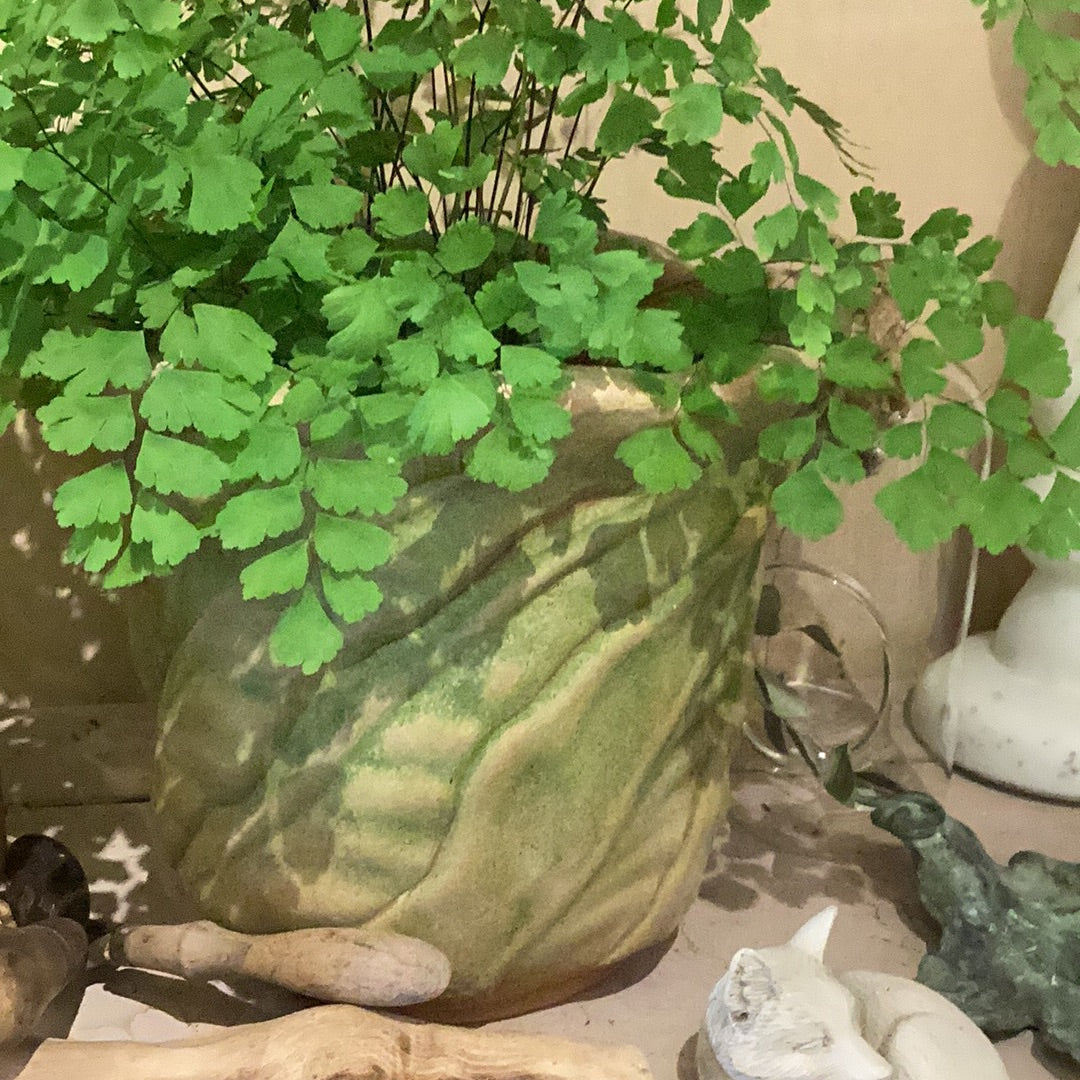 Sophia Terra Cotta Planter - Layered Leaves Design