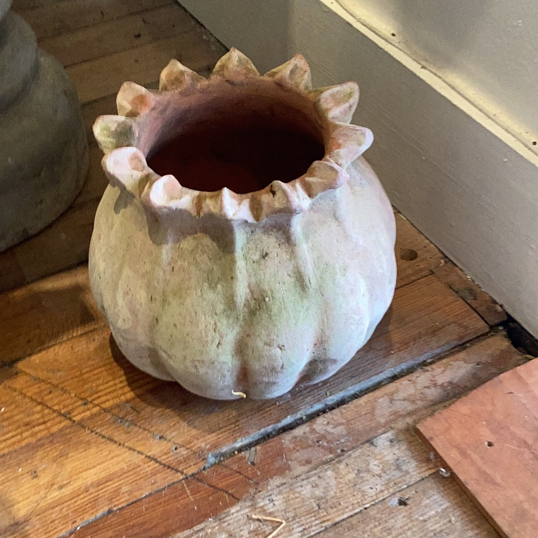 Poppy TC Planter