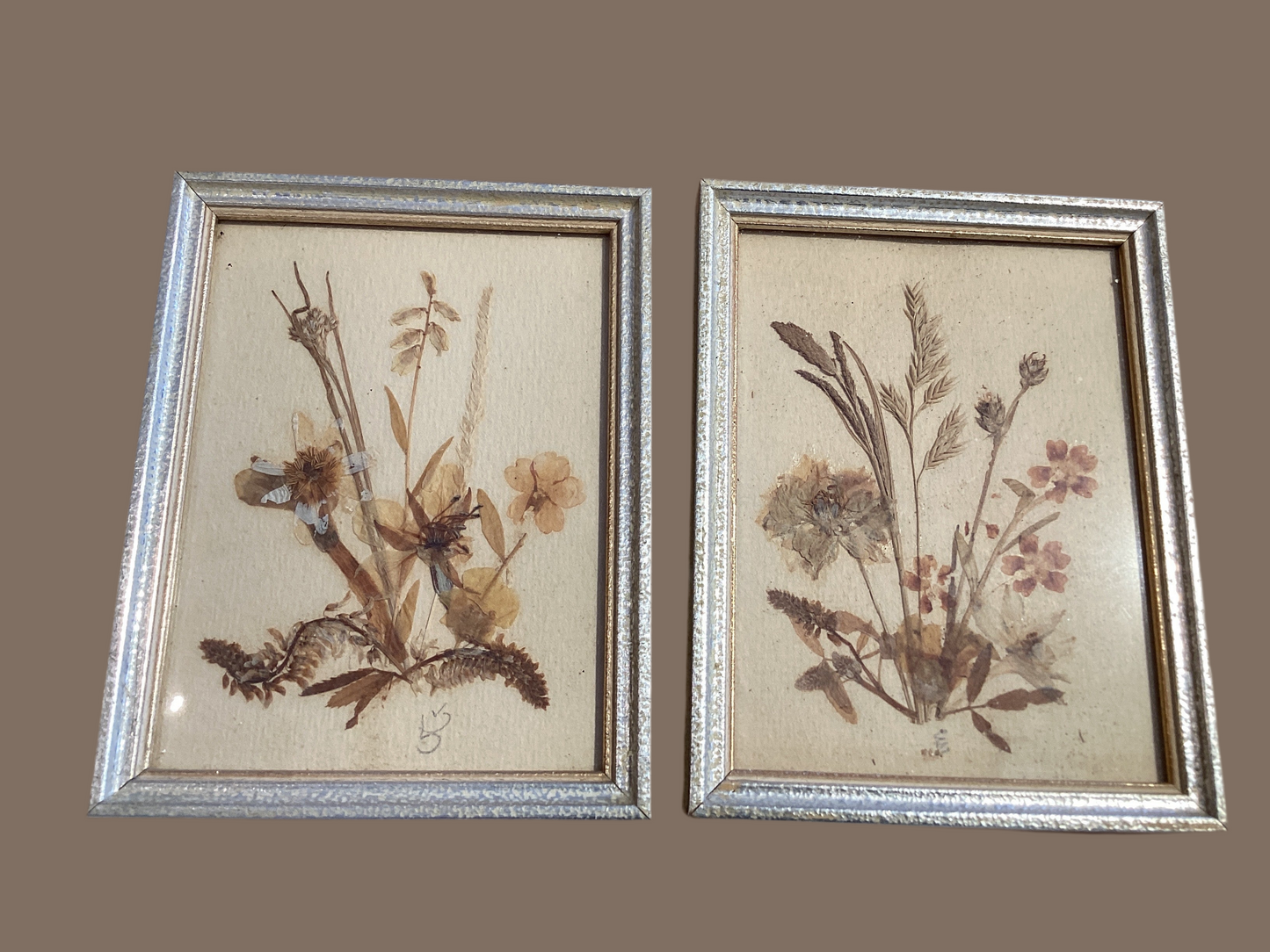 Dried Flowers in Gold Frame -Pair