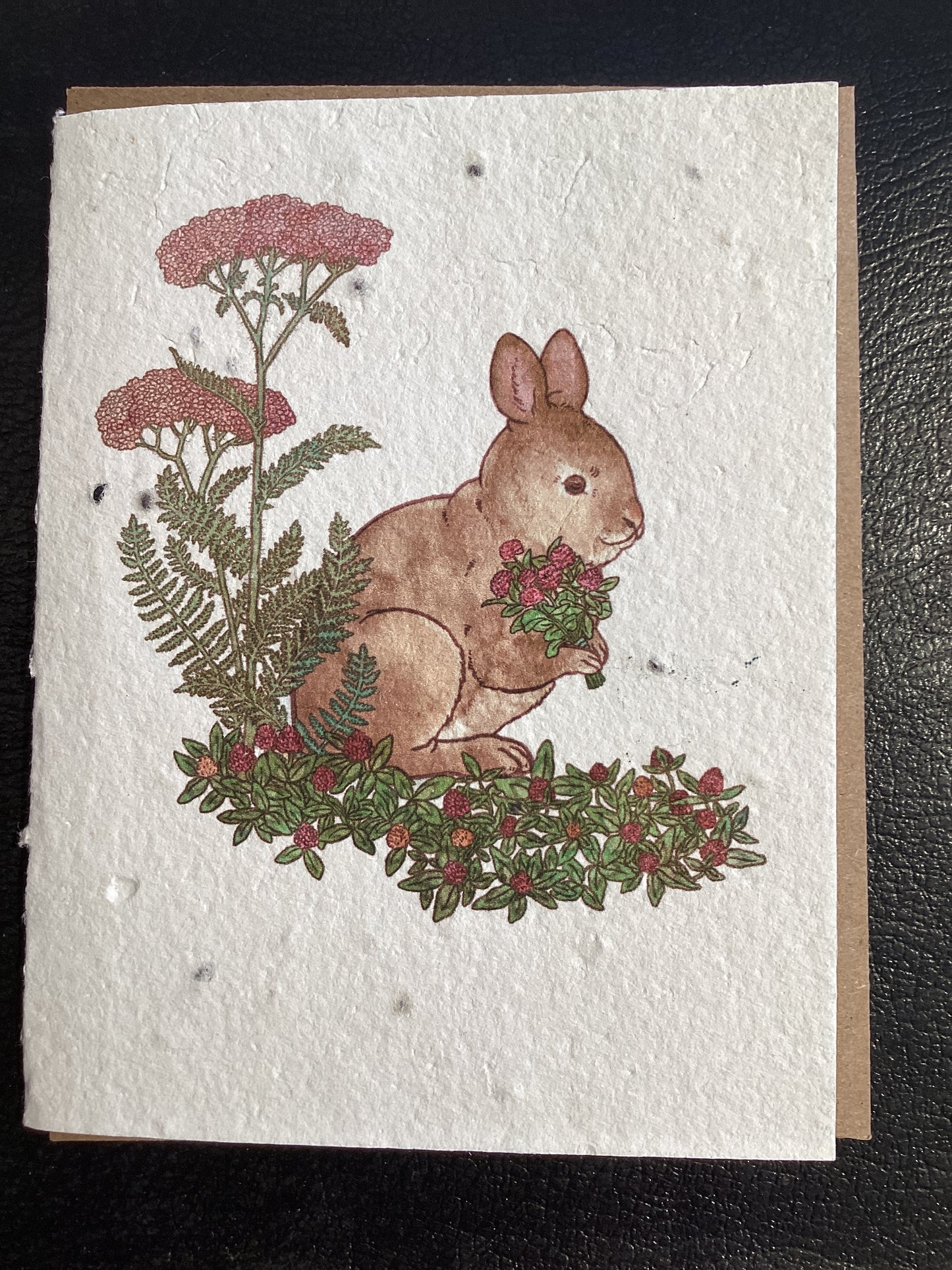 Cottontail Bunny Card