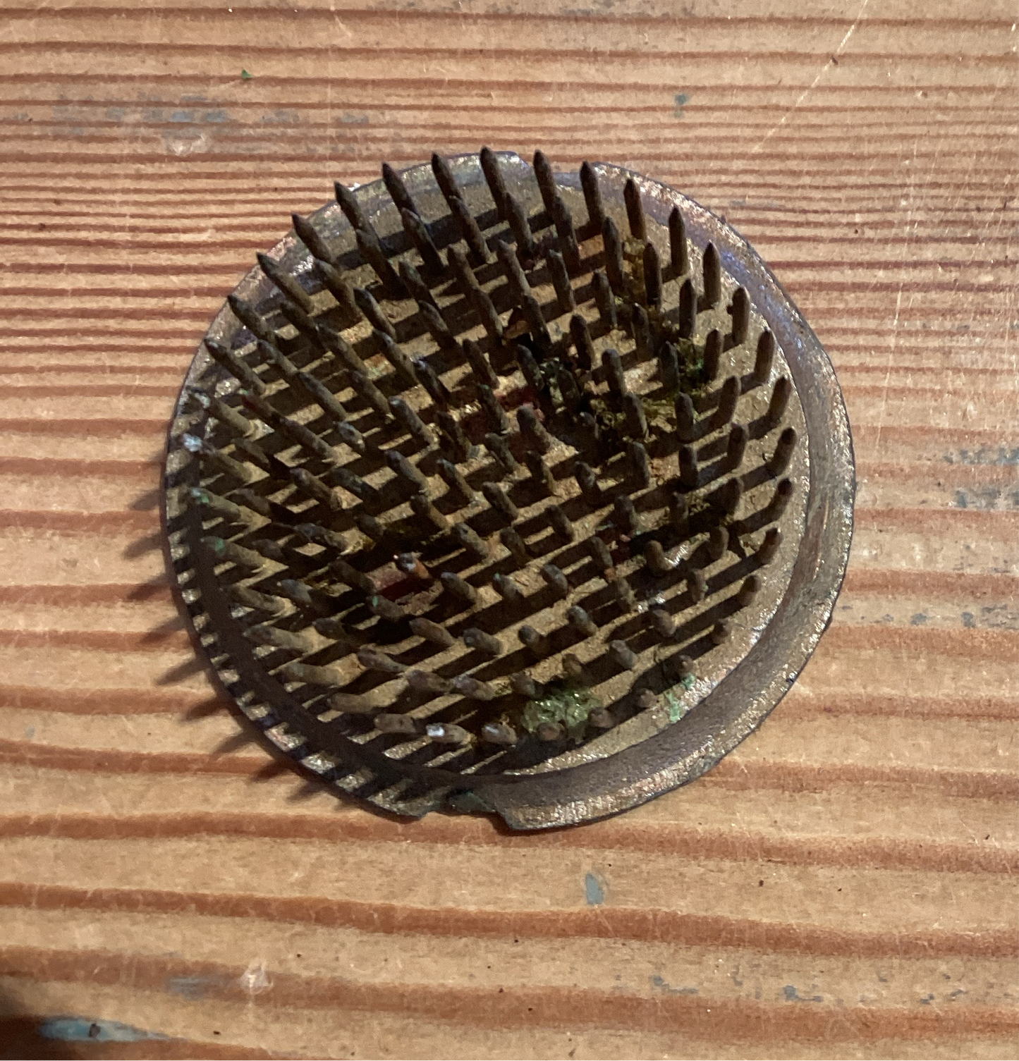 Round Flower Frog -2”