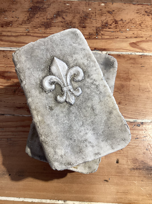 Book - Fleur De Lis