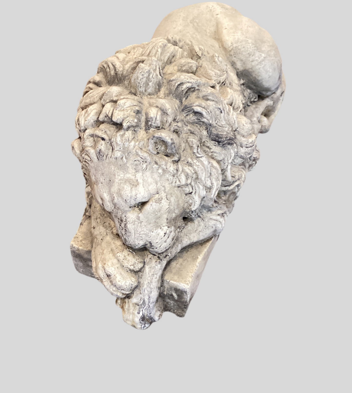Concrete Lion