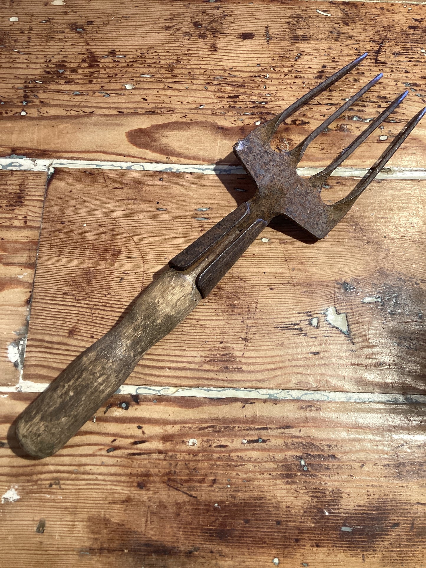 Garden Rake -4 Teeth