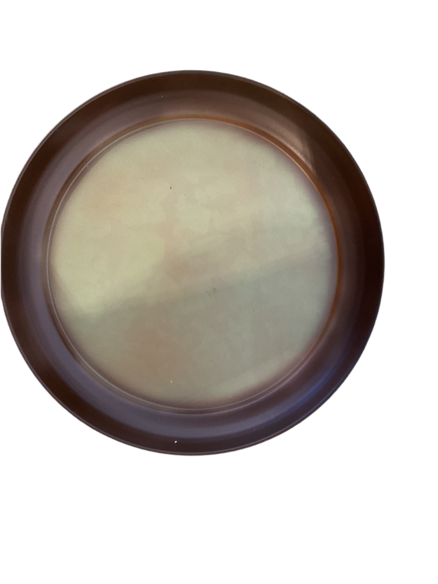 Plant Saucer #8