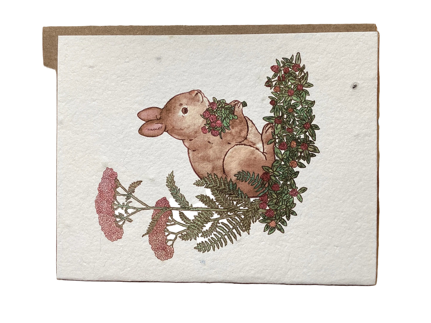 Rabbit Gathering Herbs