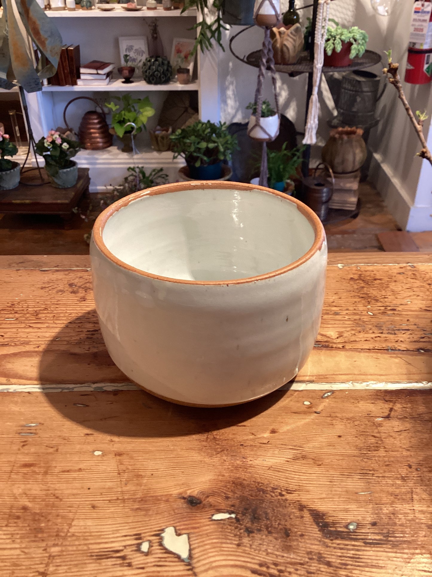 4” Pot - No Tray