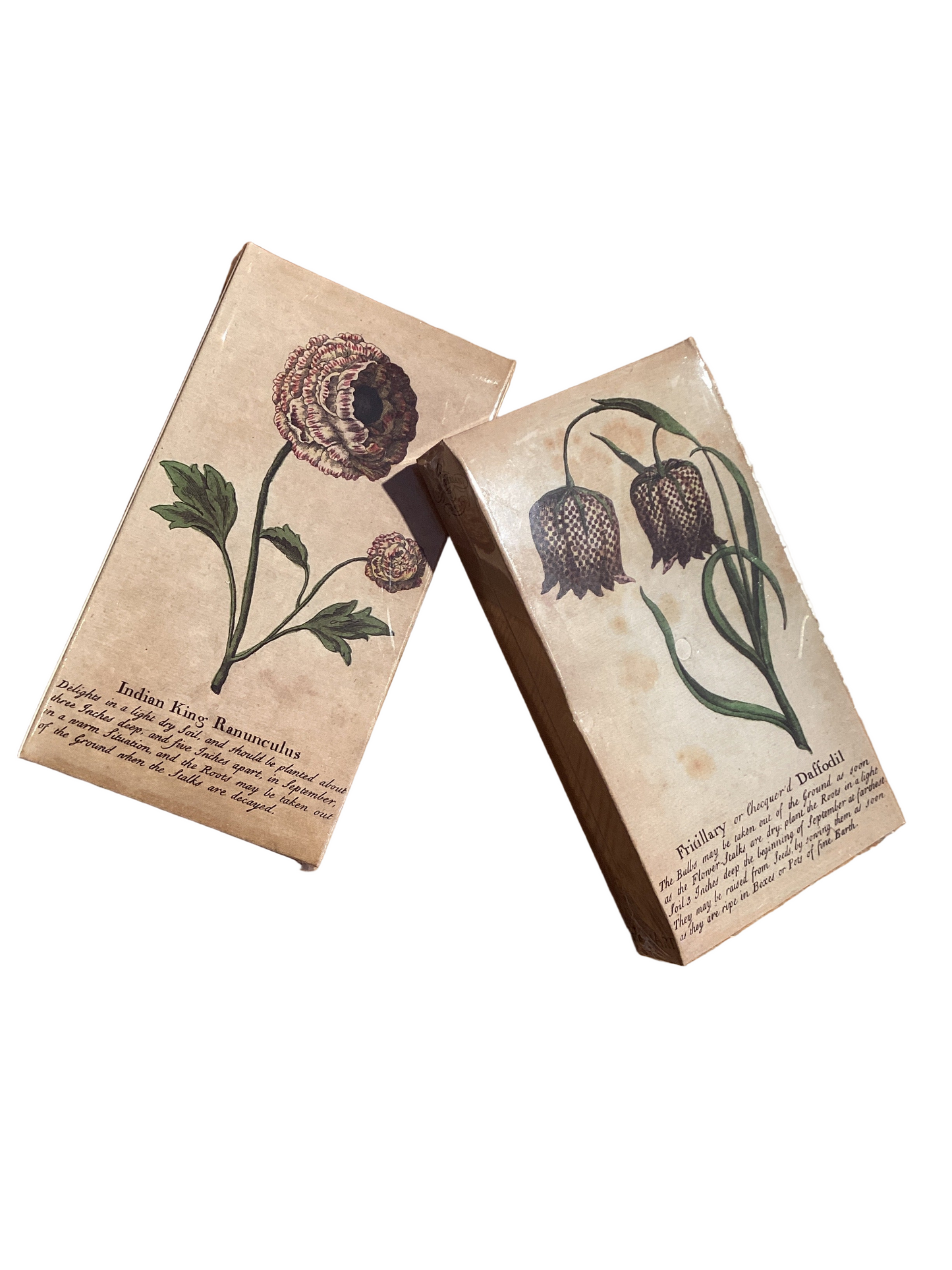 Ranunculus Matches
