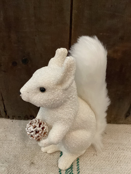 White Squirrel