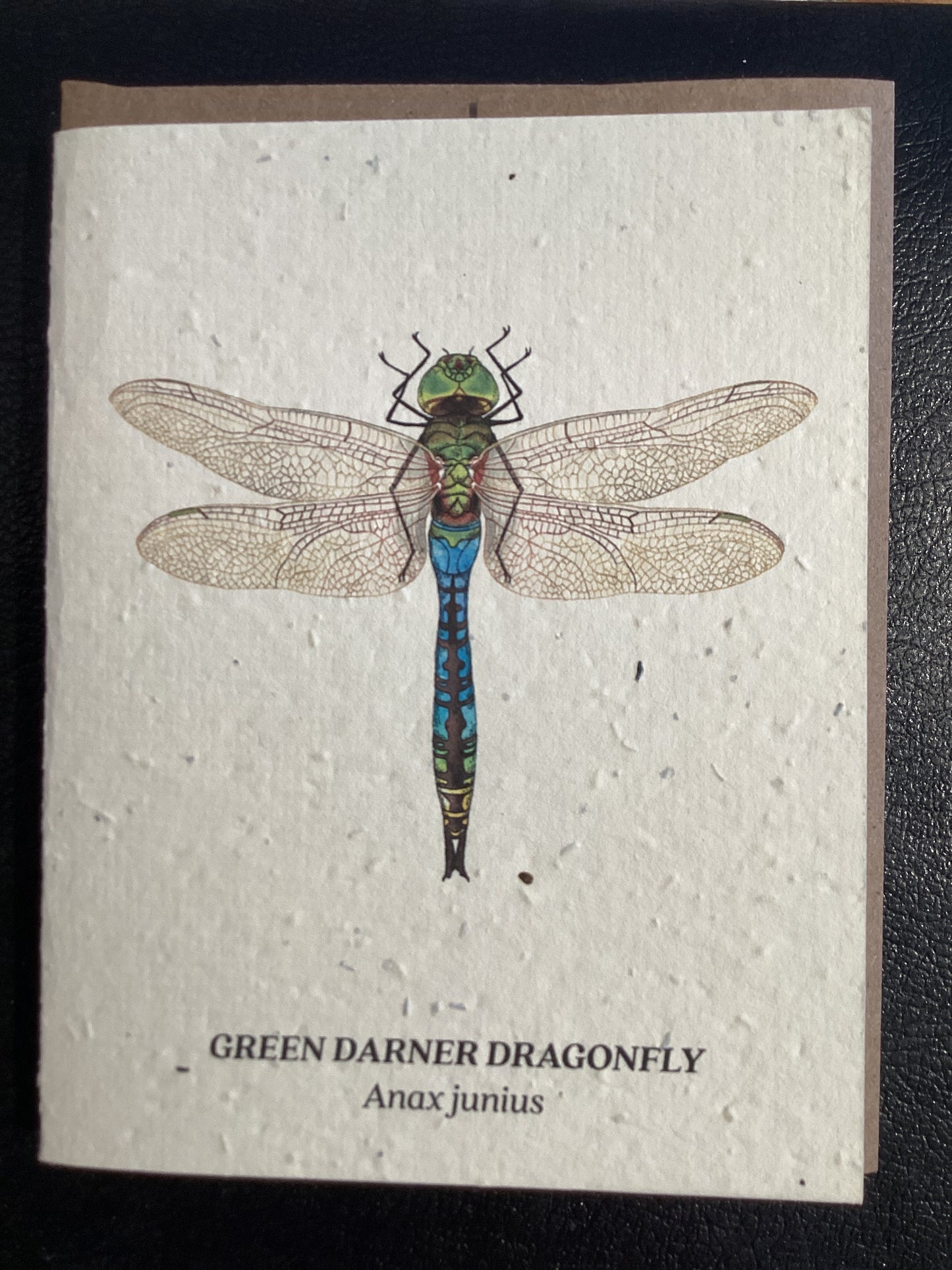 Dragonfly Card